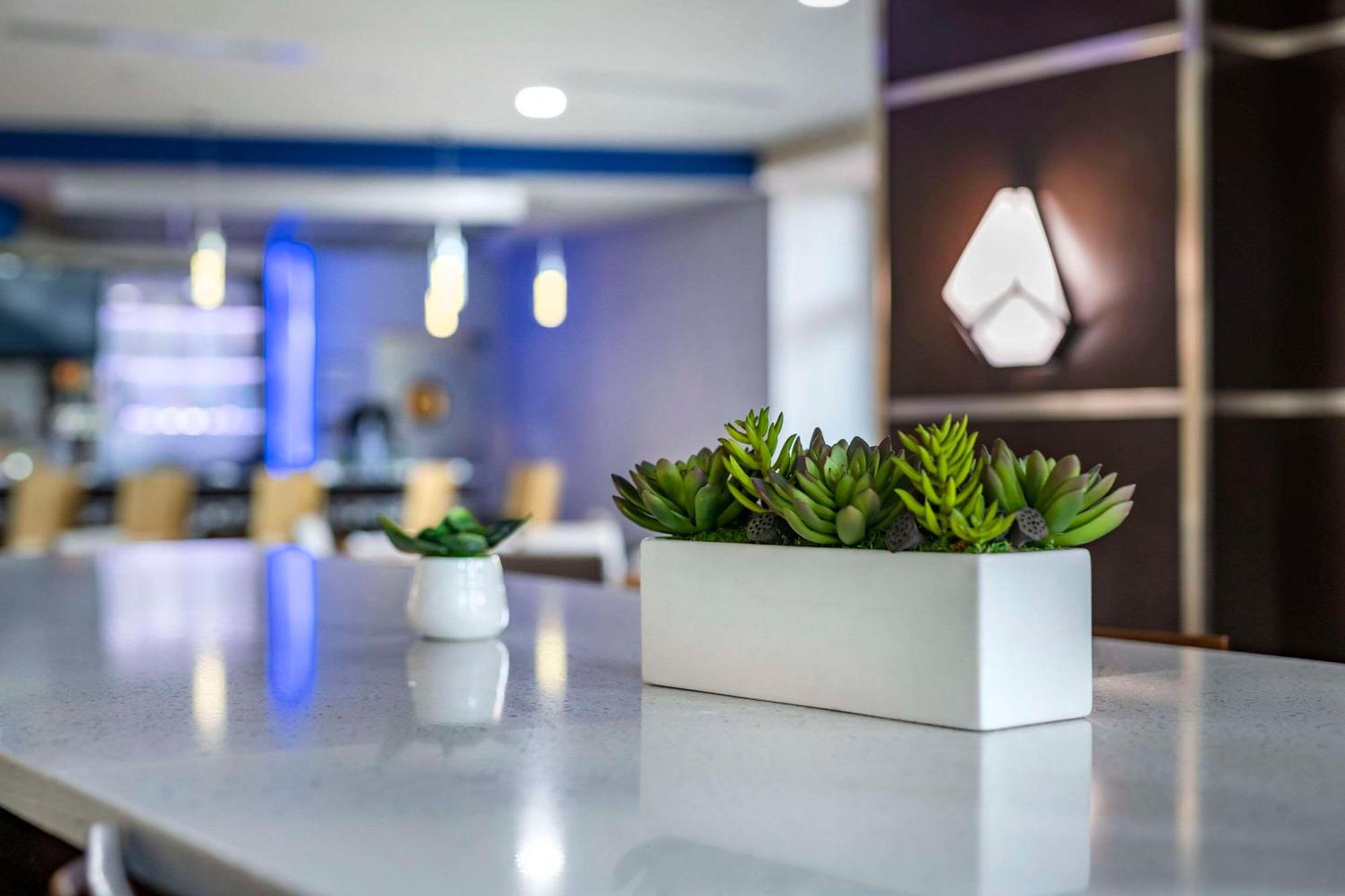 Cambria Hotel Ft Lauderdale, Airport South & Cruise Port Dania Beach Exteriör bild